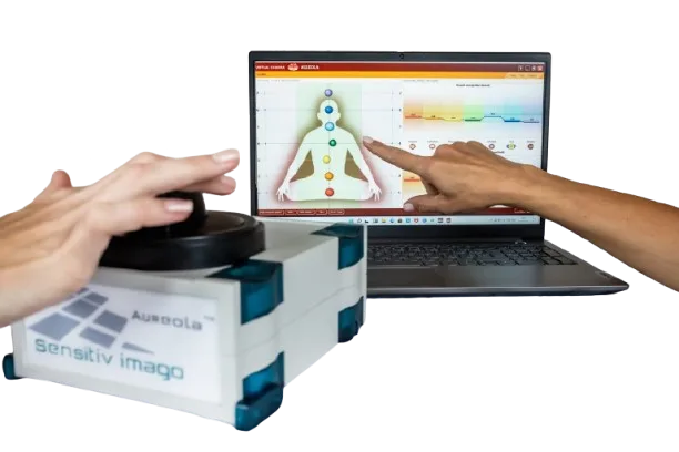 Sensitiv Imago / SensitivE Audit